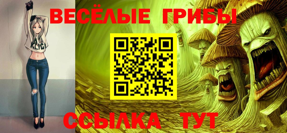 Псилоцибиновые грибы прущие грибы Лысьва